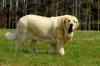 Filename=lili20m25.jpg
Filesize=156KiB
Dimensions=907x600
Date added=%810 %28, %2011 lili20m25.jpg