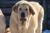 Filename=lili6l5.jpg
Filesize=94KiB
Dimensions=825x550
Date added=%025 %08, %2015 lili6l5.jpg
