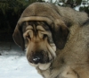 Filename=linda3r2.jpg
Filesize=68KiB
Dimensions=515x450
Date added=%598 %22, %2009 linda3r2.jpg