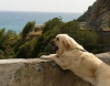 Filename=lois.jpg
Filesize=245KiB
Dimensions=764x600
Date added=%098 %10, %2009 lois.jpg
