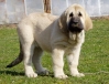 Filename=lois11,5t3.jpg
Filesize=52KiB
Dimensions=523x400
Date added=%041 %06, %2007 lois11,5t3.jpg