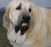 Filename=lois13mesicu.jpg
Filesize=149KiB
Dimensions=751x700
Date added=%591 %18, %2008 lois13mesicu.jpg