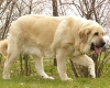 Filename=lois2year7.jpg
Filesize=314KiB
Dimensions=748x600
Date added=%726 %07, %2009 lois2year7.jpg