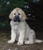 Filename=lois3.jpg
Filesize=29KiB
Dimensions=348x400
Date added=%731 %07, %2007 lois3.jpg