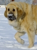 Filename=lois4roky5.jpg
Filesize=119KiB
Dimensions=407x550
Date added=%709 %27, %2010 lois4roky5.jpg