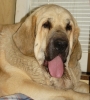 Filename=lois5.jpg
Filesize=185KiB
Dimensions=497x550
Date added=%511 %14, %2009 lois5.jpg