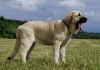 Filename=lois6,5mesice7.jpg
Filesize=111KiB
Dimensions=784x550
Date added=%733 %05, %2007 lois6,5mesice7.jpg