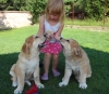Filename=majda4r8.jpg
Filesize=324KiB
Dimensions=683x600
Date added=%578 %22, %2017 majda4r8.jpg