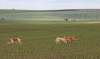Filename=mandy6m3.jpg
Filesize=212KiB
Dimensions=918x550
Date added=%765 %12, %2014 mandy6m3.jpg