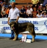 Filename=monografica32.jpg
Filesize=92KiB
Dimensions=593x600
Date added=%803 %18, %2012 monografica32.jpg