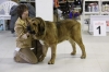 Filename=nero3r1.jpg
Filesize=202KiB
Dimensions=1188x792
Date added=%937 %17, %2010 nero3r1.jpg