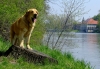Filename=opole-sofie2.jpg
Filesize=255KiB
Dimensions=797x550
Date added=%797 %03, %2010 opole-sofie2.jpg