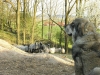 Filename=paca12m10.jpg
Filesize=201KiB
Dimensions=800x600
Date added=%600 %28, %2008 paca12m10.jpg