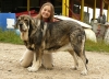 Filename=paca2r10.jpg
Filesize=290KiB
Dimensions=755x550
Date added=%919 %11, %2009 paca2r10.jpg