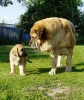 Filename=pepa+nelly.jpg
Filesize=80KiB
Dimensions=467x550
Date added=%977 %28, %2007 pepa+nelly.jpg