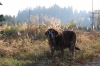 Filename=quanto7l6.jpg
Filesize=326KiB
Dimensions=825x550
Date added=%033 %08, %2015 quanto7l6.jpg