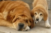 Filename=queenof4.jpg
Filesize=73KiB
Dimensions=673x450
Date added=%976 %24, %2008 queenof4.jpg