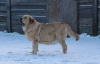 Filename=roxana7,5r.jpg
Filesize=106KiB
Dimensions=854x550
Date added=%025 %08, %2015 roxana7,5r.jpg