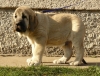 Filename=rufus7.jpg
Filesize=170KiB
Dimensions=718x550
Date added=%978 %24, %2008 rufus7.jpg