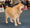 Filename=sofia1.jpg
Filesize=181KiB
Dimensions=581x550
Date added=%927 %14, %2017 sofia1.jpg