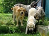 Filename=sofie19m2.jpg
Filesize=178KiB
Dimensions=742x550
Date added=%387 %02, %2010 sofie19m2.jpg