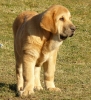 Filename=sofie3mesice6.jpg
Filesize=212KiB
Dimensions=503x550
Date added=%646 %11, %2009 sofie3mesice6.jpg