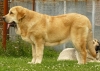 Filename=sofie8m2.jpg
Filesize=283KiB
Dimensions=770x550
Date added=%449 %05, %2009 sofie8m2.jpg