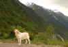 Filename=svycarsko-lois.jpg
Filesize=145KiB
Dimensions=649x450
Date added=%097 %10, %2009 svycarsko-lois.jpg
