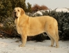 Filename=syra12months5.jpg
Filesize=269KiB
Dimensions=710x550
Date added=%767 %17, %2009 syra12months5.jpg