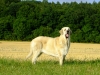 Filename=syra19m5.jpg
Filesize=327KiB
Dimensions=792x600
Date added=%520 %21, %2010 syra19m5.jpg