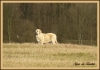 Filename=syra3,5mesice-s.jpg
Filesize=338KiB
Dimensions=916x650
Date added=%804 %19, %2009 syra3,5mesice-s.jpg