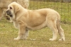 Filename=syra3m10.jpg
Filesize=76KiB
Dimensions=387x262
Date added=%984 %03, %2009 syra3m10.jpg