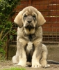Filename=teddy6.jpg
Filesize=193KiB
Dimensions=514x600
Date added=%565 %08, %2009 teddy6.jpg