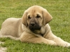 Filename=tess5.jpg
Filesize=280KiB
Dimensions=800x600
Date added=%565 %08, %2009 tess5.jpg