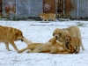 Filename=today1.jpg
Filesize=331KiB
Dimensions=800x600
Date added=%957 %22, %2011 today1.jpg