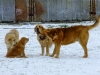 Filename=today4.jpg
Filesize=321KiB
Dimensions=800x600
Date added=%958 %22, %2011 today4.jpg