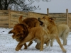 Filename=today6.jpg
Filesize=256KiB
Dimensions=800x600
Date added=%958 %22, %2011 today6.jpg