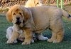 Filename=torro3.jpg
Filesize=286KiB
Dimensions=854x600
Date added=%902 %04, %2011 torro3.jpg