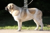 Filename=uffa3roky8.jpg
Filesize=304KiB
Dimensions=1000x667
Date added=%398 %12, %2012 uffa3roky8.jpg