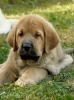 Filename=ugo51d.jpg
Filesize=156KiB
Dimensions=412x550
Date added=%782 %28, %2009 ugo51d.jpg