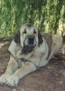 Filename=ulises.jpg
Filesize=32KiB
Dimensions=373x512
Date added=%962 %03, %2006 ulises.jpg