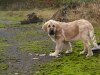 Filename=uma3mes.jpg
Filesize=141KiB
Dimensions=640x480
Date added=%566 %15, %2009 uma3mes.jpg