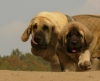 Filename=uri47d.jpg
Filesize=156KiB
Dimensions=674x550
Date added=%001 %22, %2009 uri47d.jpg