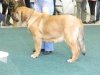 Filename=wendeta3roky.jpg
Filesize=82KiB
Dimensions=960x720
Date added=%032 %15, %2013 wendeta3roky.jpg