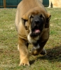 Filename=wilmetta2.jpg
Filesize=86KiB
Dimensions=393x450
Date added=%765 %25, %2010 wilmetta2.jpg