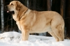 Filename=x-v.jpg
Filesize=355KiB
Dimensions=1512x1002
Date added=%759 %14, %2012 x-v.jpg
