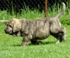 Filename=xandon6.jpg
Filesize=192KiB
Dimensions=661x550
Date added=%953 %22, %2010 xandon6.jpg