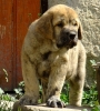 Filename=xman2.jpg
Filesize=157KiB
Dimensions=500x550
Date added=%612 %25, %2010 xman2.jpg