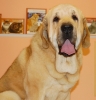 Filename=yachont2.jpg
Filesize=199KiB
Dimensions=768x800
Date added=%823 %05, %2012 yachont2.jpg