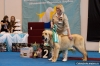 Filename=yachont20m1.jpg
Filesize=109KiB
Dimensions=800x532
Date added=%398 %12, %2012 yachont20m1.jpg